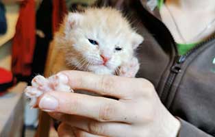 Jahresbericht 2021 baby