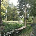 Jahresbericht 2021 baum