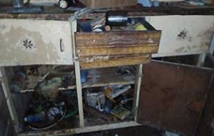 beschlagnahmung 14katzen unterentwickelt01