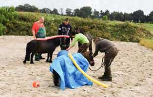 Jahresbericht 2021 bewegungsplatz neu