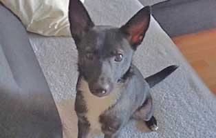 gruesse sam zuhause gefunden