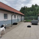 neubau hundetrakt bueckeburg01