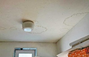 neubau hundetrakt bueckeburg010