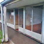 neubau hundetrakt bueckeburg011