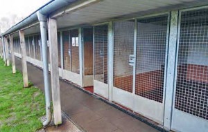 neubau hundetrakt bueckeburg011