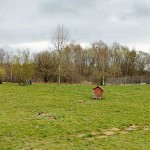 neubau hundetrakt bueckeburg012