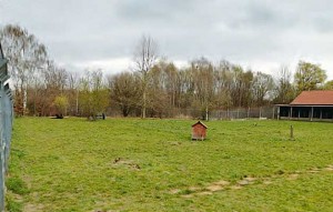 neubau hundetrakt bueckeburg012