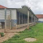 neubau hundetrakt bueckeburg012.1