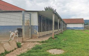 neubau hundetrakt bueckeburg012.1