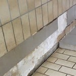 neubau hundetrakt bueckeburg02