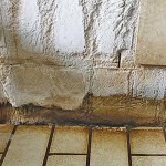 neubau hundetrakt bueckeburg04