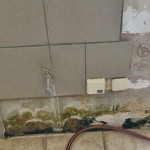 neubau hundetrakt bueckeburg08