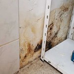 neubau hundetrakt bueckeburg09