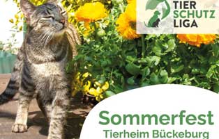 sommerfest bueckeburg 2022