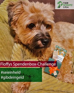 Floffi klimpergeldbox