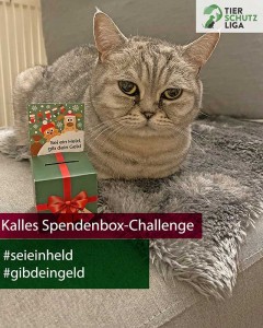 Kalle klimpergeldbox