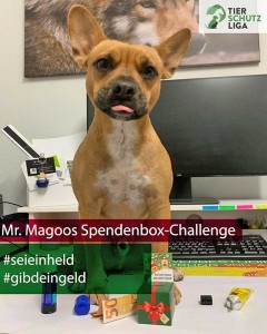 Magoo klimpergeldbox