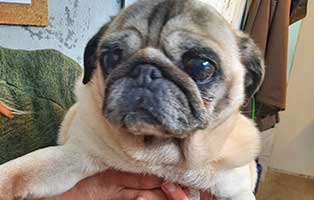 ein zoo fuer wollaberg01