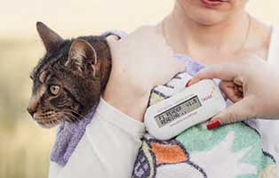 tasso chip haustiere