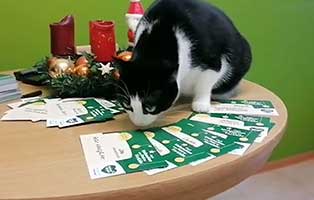 weihnachtswünsche tierchutzliga-dorf